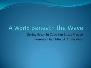 A World Beneath the Wave  Spring Break in Cabo San Lucas Mexico Presented by Ehlin, SGA president 