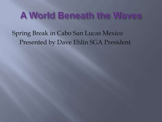 A World Beneath the Waves Spring Break in Cabo San Lucas Mexico Presented by Dave Ehlin SGA President 