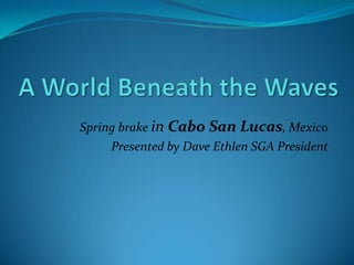 A World Beneath the Waves Spring brake in Cabo San Lucas, Mexico Presented by Dave Ethlen SGA President 
