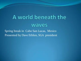 A world beneath the waves Spring break in  Cabo San Lucas,  Mexico    Presented by Dave Ethlen, SGA  president  