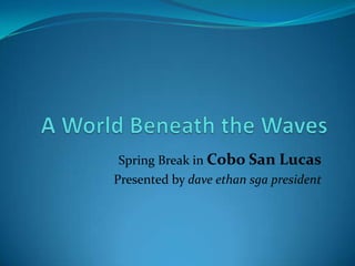 A World Beneath the Waves Spring Break in Cobo San Lucas Presented by daveethansga president  