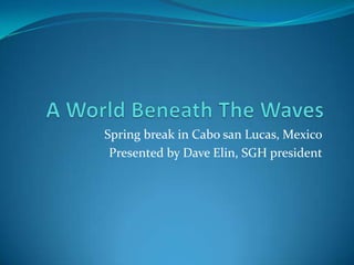 A World Beneath The Waves  Spring break in Cabo san Lucas, Mexico Presented by Dave Elin, SGH president 
