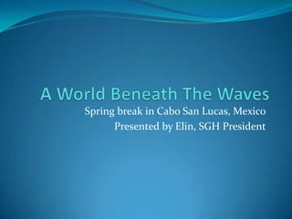 A World Beneath The Waves Spring break in Cabo San Lucas, Mexico Presented by Elin, SGH President 