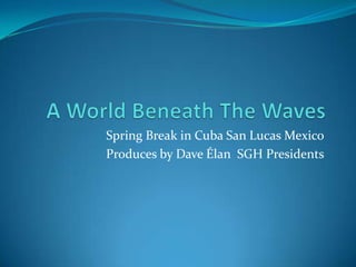 A World Beneath The Waves Spring Break in Cuba San Lucas Mexico Produces by Dave Élan  SGH Presidents 