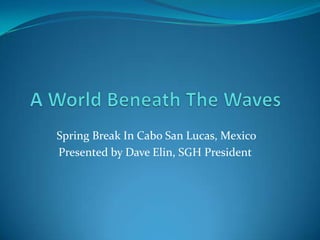 A World Beneath The Waves  Spring Break In Cabo San Lucas, Mexico Presented by Dave Elin, SGH President  