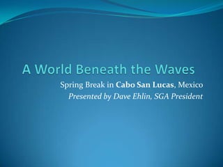 A World Beneath the Waves Spring Break in Cabo San Lucas, Mexico Presented by Dave Ehlin, SGA President 