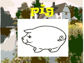 pig