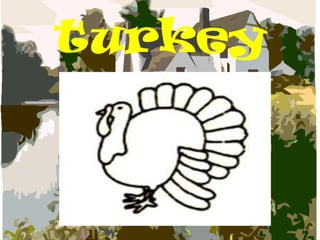 turkey