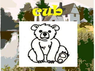 cub