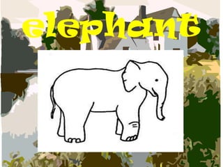 elephant