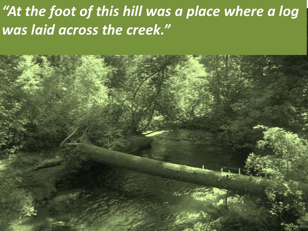 A worn path by Eudora Welty