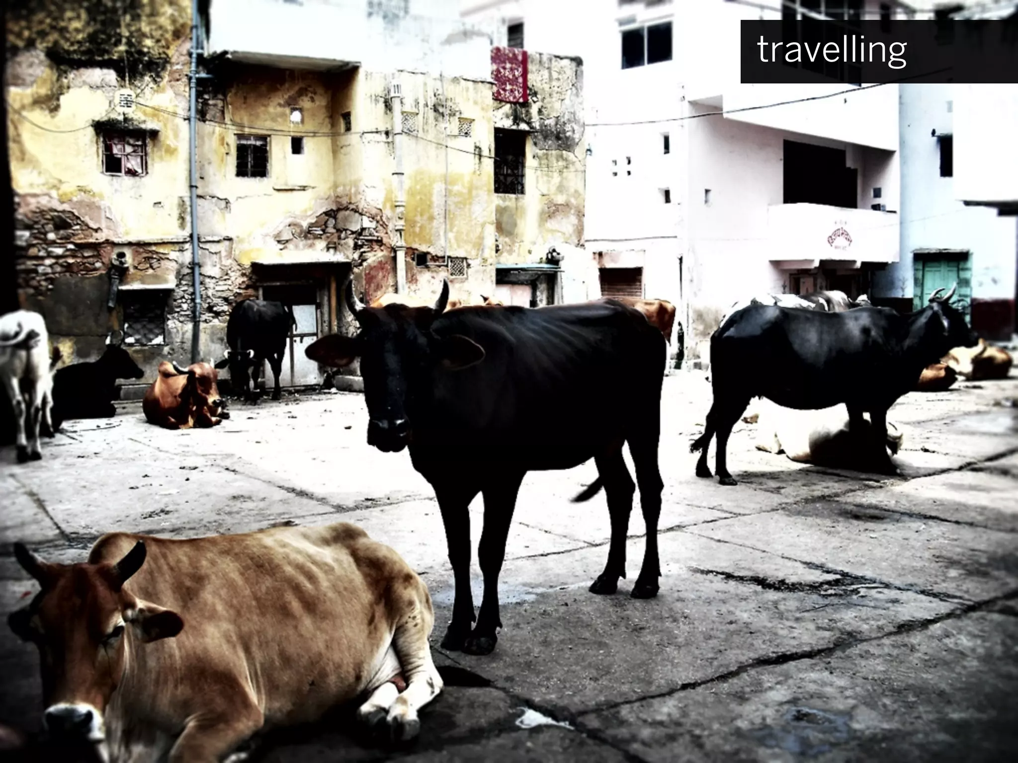 travelling
 