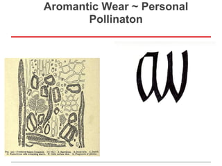 Aromantic Wear ~ Personal
       Pollinaton
 
