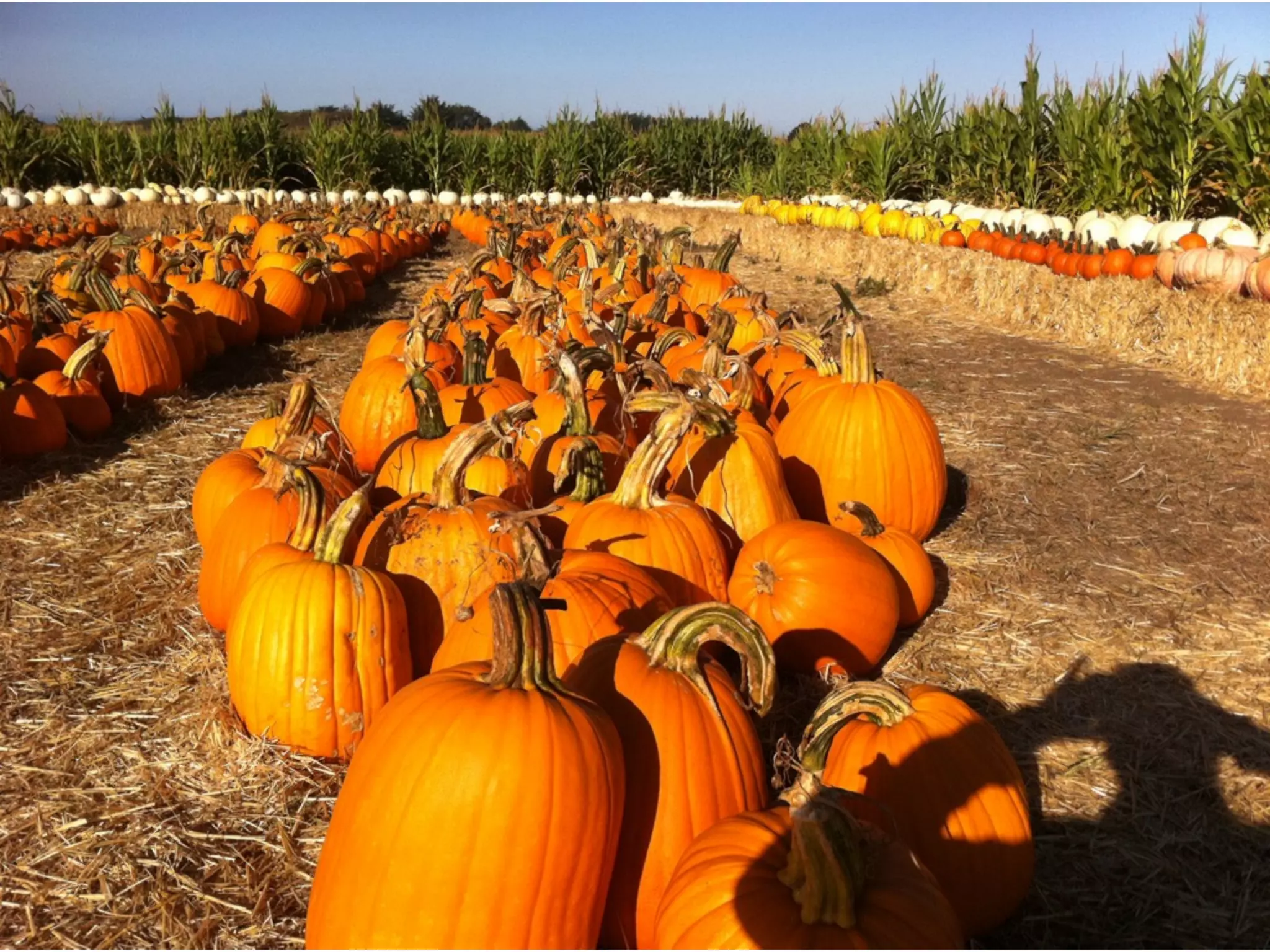 AWR Ambiguity: Performance reasoning when the numbers don't add up