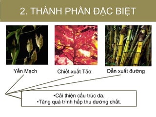 Chiết xuất TảoYến Mạch Dẫn xuất đường
2. THÀNH PHẦN ĐẶC BIỆT
• Loại bỏ tế bào chết dịu nhẹ.
•Thúc đẩy sản sinh tế bào mới
•Giữ ẩm cho làn da
•Tổng hợp collagen, giúp da săn chắc
•Cải thiện cấu trúc da.
•Tăng quá trình hấp thu dưỡng chất.
 