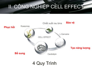 II. CÔNG NGHIỆP CELL EFFECT
4 Quy Trình
Tạo năng lượng
Phục hồi
Chiết xuất rau bina Bảo vệ
Bổ sung
 