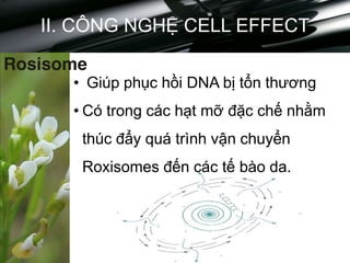 Creme LuXury
II. CÔNG NGHỆ CELL EFFECT
• Giúp phục hồi DNA bị tổn thương
• Có trong các hạt mỡ đặc chế nhằm
thúc đẩy quá trình vận chuyển
Roxisomes đến các tế bào da.
Rosisome
 