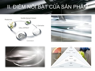 II. ĐIỂM NỔI BẬT CỦA SẢN PHẨM
 