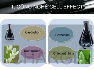 1. CÔNG NGHỆ CELL EFFECT
Cardiolipin
L-Carnosine
49
Chiết xuất bina
Roxisomes
™
 