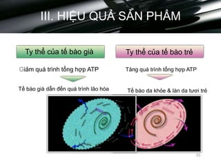 III. HIỆU QUẢ SẢN PHẨM
Ty thể của tế bào già
Giảm quá trình tổng hợp ATP
Tế bào già dẫn đến quá trình lão hóa
Ty thể của tế bào trẻ
Tăng quá trình tổng hợp ATP
Tế bào da khỏe & làn da tươi trẻ
53
 
