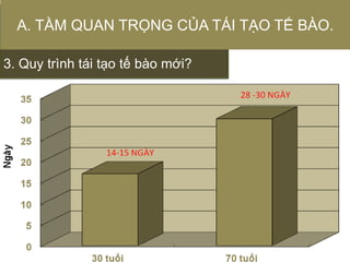 3. Quy trình tái tạo tế bào mới?
A. TẦM QUAN TRỌNG CỦA TÁI TẠO TẾ BÀO.
 