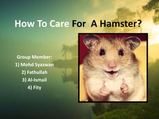 How To Care For A Hamster?
Group Member:
1) Mohd Syazwan
2) Fathullah
3) Al-Ismail
4) Fity
 