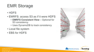 sundog-education.com
datacumulus.com
© 2024 All Rights Reserved Worldwide
EMR Storage
• HDFS
• EMRFS: access S3 as if it were HDFS
• EMRFS Consistent View – Optional for
S3 consistency
• Uses DynamoDB to track consistency
• Local file system
• EBS for HDFS
 
