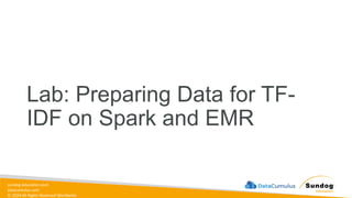 sundog-education.com
datacumulus.com
© 2024 All Rights Reserved Worldwide
Lab: Preparing Data for TF-
IDF on Spark and EMR
 
