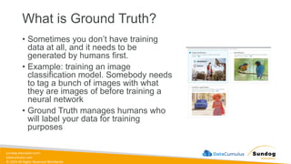 sundog-education.com
datacumulus.com
© 2024 All Rights Reserved Worldwide
What is Ground Truth?
• Sometimes you don’t have training
data at all, and it needs to be
generated by humans first.
• Example: training an image
classification model. Somebody needs
to tag a bunch of images with what
they are images of before training a
neural network
• Ground Truth manages humans who
will label your data for training
purposes
 