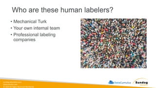 sundog-education.com
datacumulus.com
© 2024 All Rights Reserved Worldwide
Who are these human labelers?
• Mechanical Turk
• Your own internal team
• Professional labeling
companies
 
