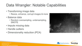 sundog-education.com
datacumulus.com
© 2024 All Rights Reserved Worldwide
Data Wrangler: Notable Capabilities
• Transforming image data
• Resize, enhance, corrupt images & more
• Balance data
• Random oversampling, undersampling,
SMOTE
• Impute missing data
• Handle outliers
• Dimensionality reduction (PCA)
 