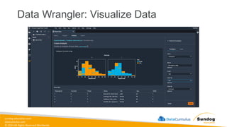 sundog-education.com
datacumulus.com
© 2024 All Rights Reserved Worldwide
Data Wrangler: Visualize Data
 