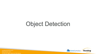 sundog-education.com
datacumulus.com
© 2024 All Rights Reserved Worldwide
Object Detection
 