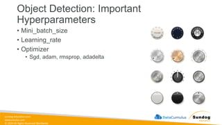 sundog-education.com
datacumulus.com
© 2024 All Rights Reserved Worldwide
Object Detection: Important
Hyperparameters
• Mini_batch_size
• Learning_rate
• Optimizer
• Sgd, adam, rmsprop, adadelta
 