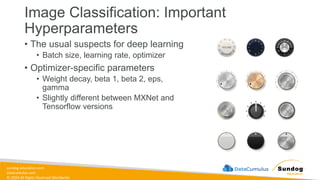 sundog-education.com
datacumulus.com
© 2024 All Rights Reserved Worldwide
Image Classification: Important
Hyperparameters
• The usual suspects for deep learning
• Batch size, learning rate, optimizer
• Optimizer-specific parameters
• Weight decay, beta 1, beta 2, eps,
gamma
• Slightly different between MXNet and
Tensorflow versions
 