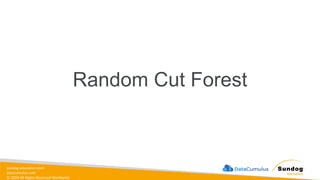 sundog-education.com
datacumulus.com
© 2024 All Rights Reserved Worldwide
Random Cut Forest
 