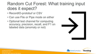 sundog-education.com
datacumulus.com
© 2024 All Rights Reserved Worldwide
Random Cut Forest: What training input
does it expect?
• RecordIO-protobuf or CSV
• Can use File or Pipe mode on either
• Optional test channel for computing
accuracy, precision, recall, and F1 on
labeled data (anomaly or not)
 