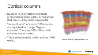 sundog-education.com
datacumulus.com
© 2024 All Rights Reserved Worldwide
Cortical columns
• Neurons in your cortex seem to be
arranged into many stacks, or “columns”
that process information in parallel
• “mini-columns” of around 100 neurons
are organized into larger “hyper-
columns”. There are 100 million mini-
columns in your cortex
• This is coincidentally similar to how GPU’s
work…
(credit: Marcel Oberlaender et al.)
 