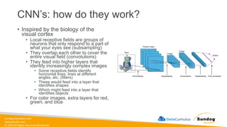 sundog-education.com
datacumulus.com
© 2024 All Rights Reserved Worldwide
CNN’s: how do they work?
• Inspired by the biology of the
visual cortex
• Local receptive fields are groups of
neurons that only respond to a part of
what your eyes see (subsampling)
• They overlap each other to cover the
entire visual field (convolutions)
• They feed into higher layers that
identify increasingly complex images
• Some receptive fields identify
horizontal lines, lines at different
angles, etc. (filters)
• These would feed into a layer that
identifies shapes
• Which might feed into a layer that
identifies objects
• For color images, extra layers for red,
green, and blue
 