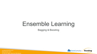 sundog-education.com
datacumulus.com
© 2024 All Rights Reserved Worldwide
Ensemble Learning
Bagging & Boosting
 