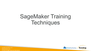 sundog-education.com
datacumulus.com
© 2024 All Rights Reserved Worldwide
SageMaker Training
Techniques
 