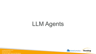 sundog-education.com
datacumulus.com
© 2024 All Rights Reserved Worldwide
LLM Agents
 
