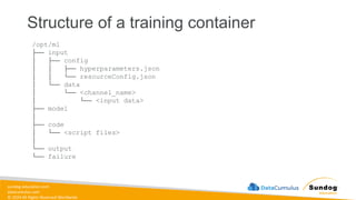 sundog-education.com
datacumulus.com
© 2024 All Rights Reserved Worldwide
Structure of a training container
/opt/ml
├── input
│ ├── config
│ │ ├── hyperparameters.json
│ │ └── resourceConfig.json
│ └── data
│ └── <channel_name>
│ └── <input data>
├── model
│
├── code
│ └── <script files>
│
└── output
└── failure
 
