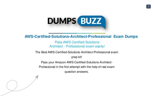 Latest Braindumps AWS-Solutions-Architect-Professional-KR Ppt