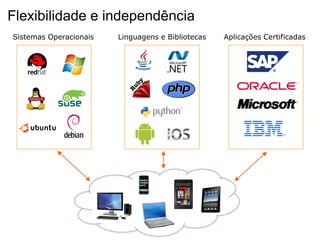 Flexibilidade e independência
Sistemas Operacionais   Linguagens e Bibliotecas   Aplicações Certificadas
 