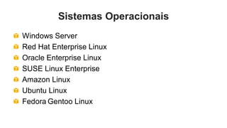 Sistemas Operacionais
Windows Server
Red Hat Enterprise Linux
Oracle Enterprise Linux
SUSE Linux Enterprise
Amazon Linux
Ubuntu Linux
Fedora Gentoo Linux
 
