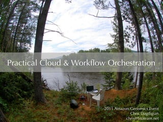 Practical Cloud & Workﬂow Orchestration




                         2011 Amazon Genomics Event
                                     Chris Dagdigian
                                   chris@bioteam.net	
  
 
