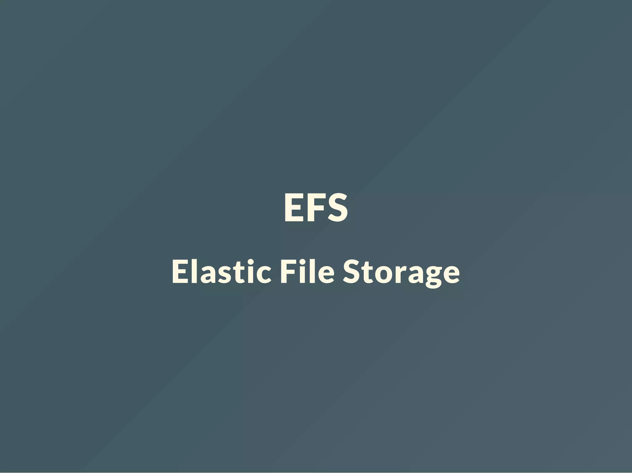 EFS Elastic File Storage 