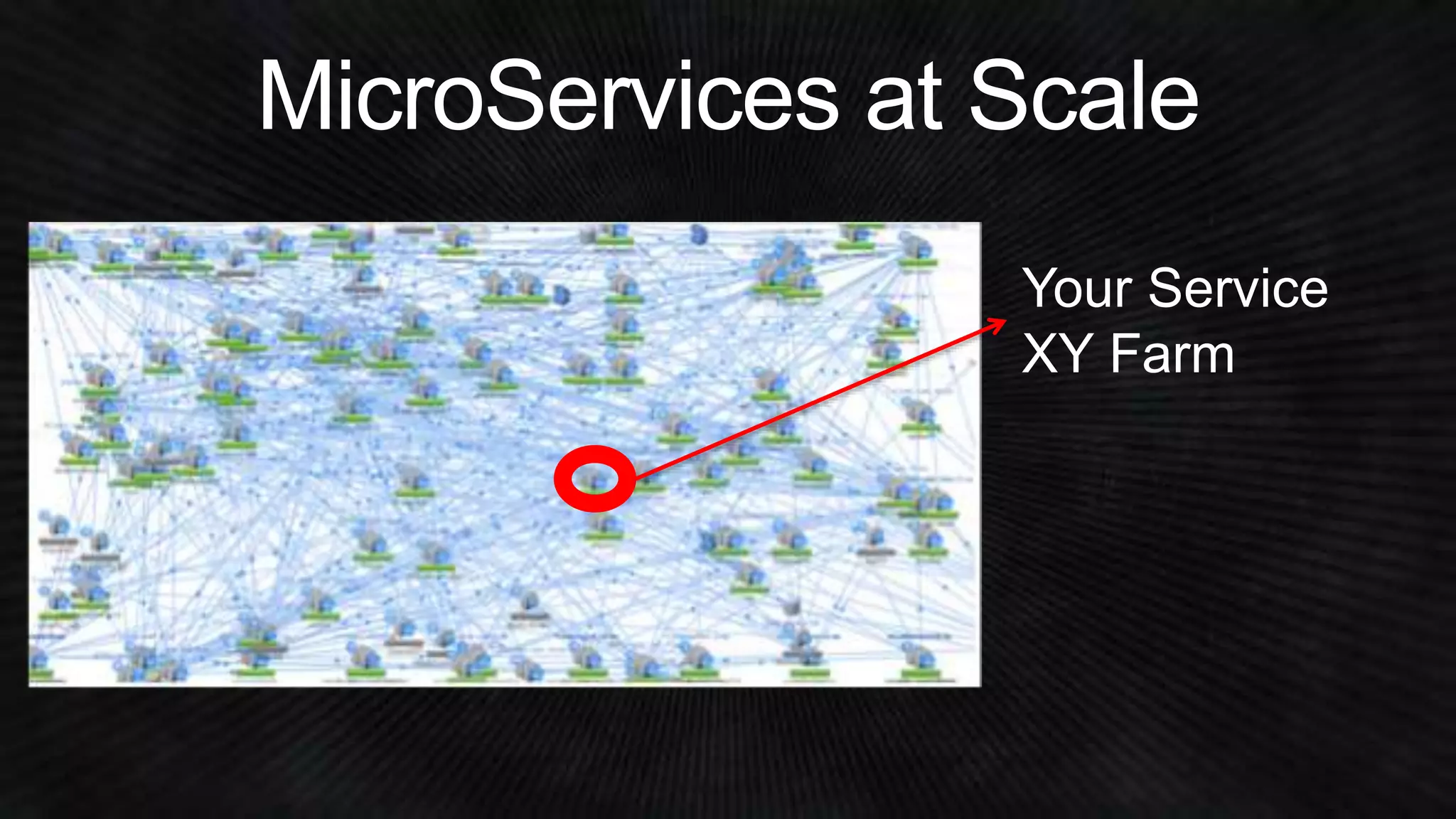 Your Service 
XY Farm 
 