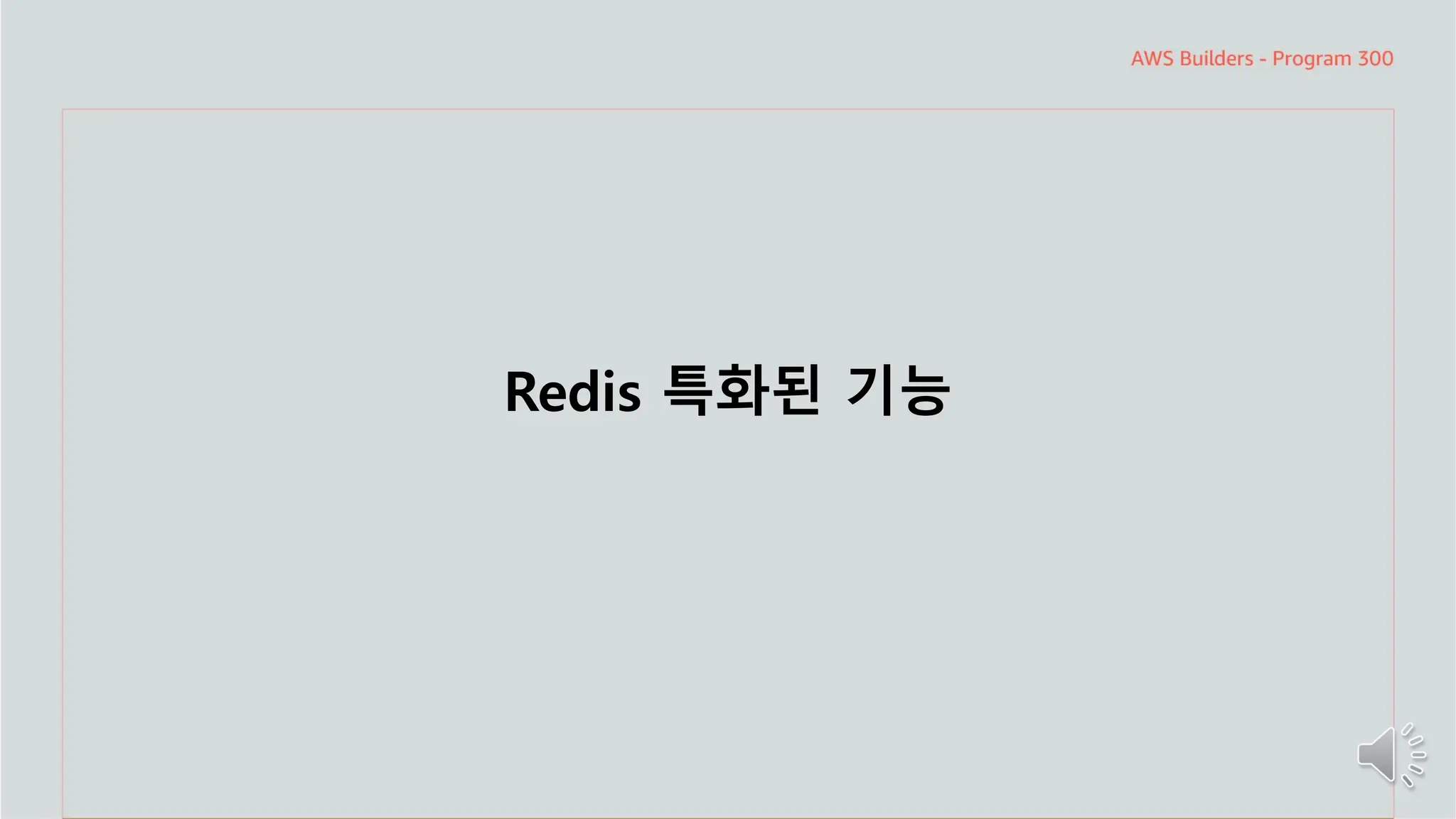 주요 주제
Redis 특화된 기능
 